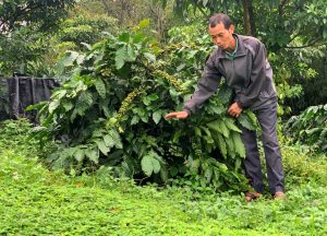 web đánh bài