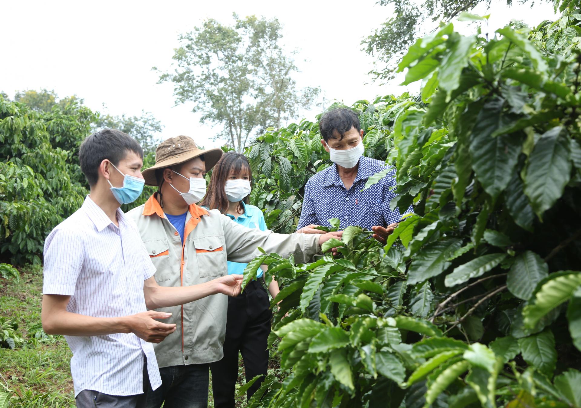 web đánh bài