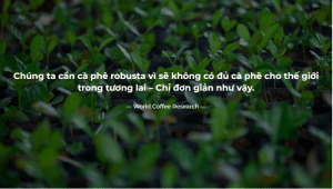 web đánh bài