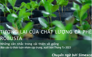 web đánh bài