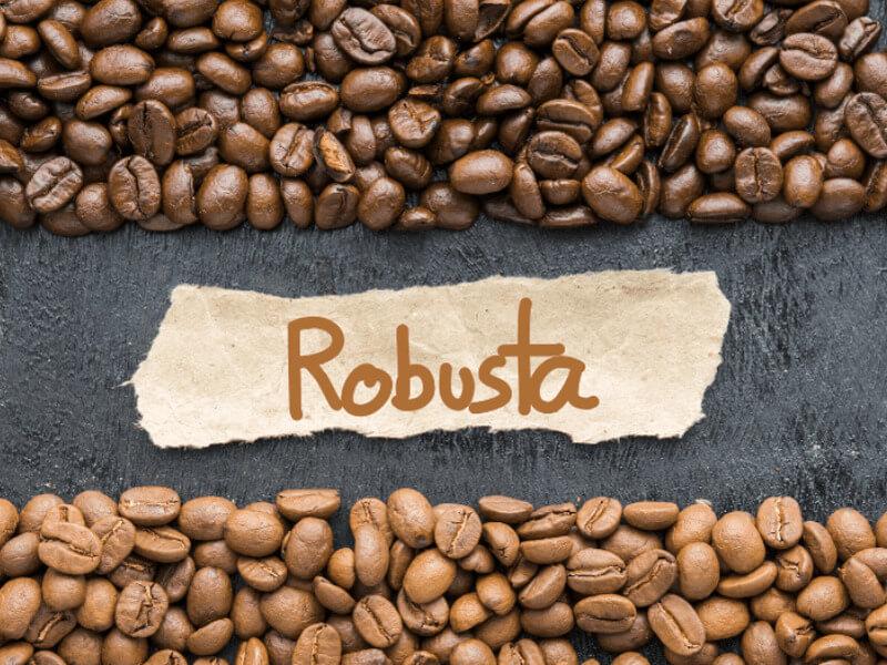 Phân biệt các loại cà phê Robusta trên thị trường hiện nay