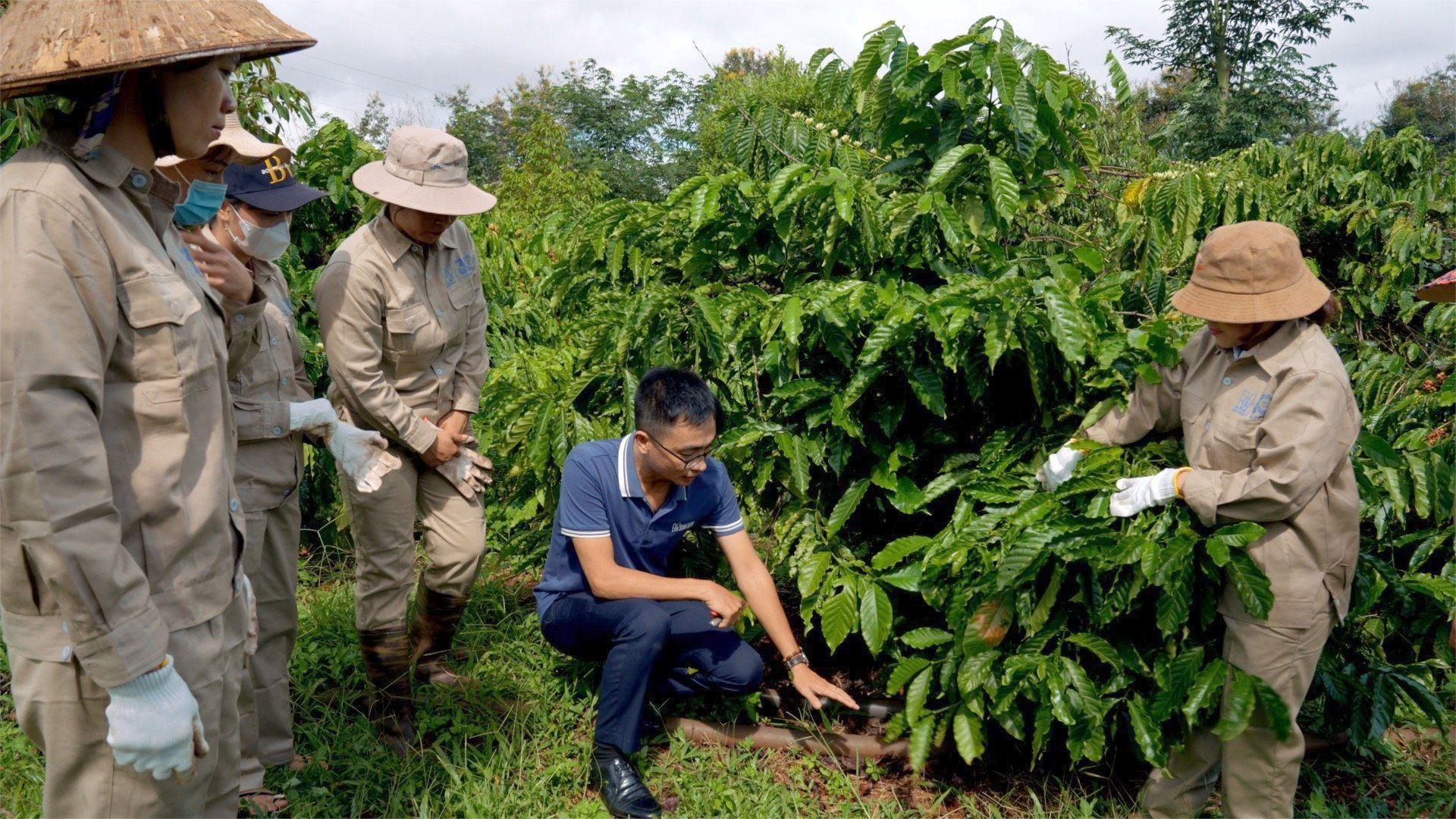 web đánh bài