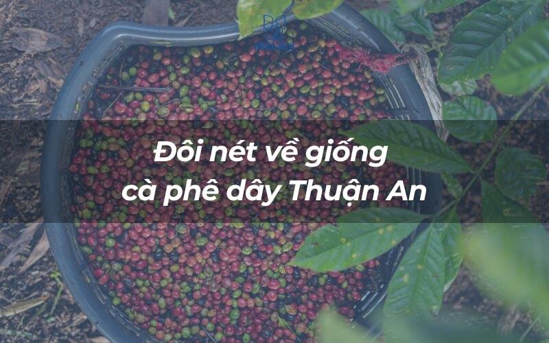 web đánh bài