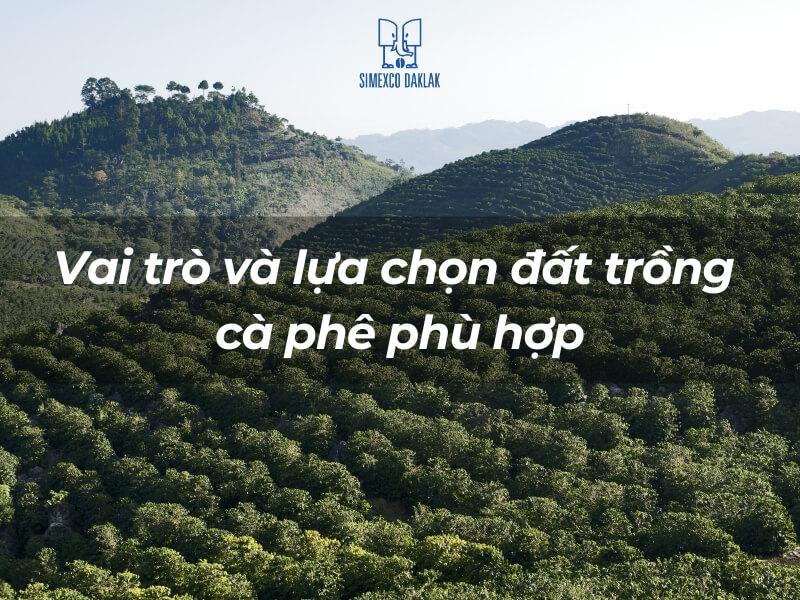 trồng Vai trò của đất trồng đối với cây cà phê là gì ?